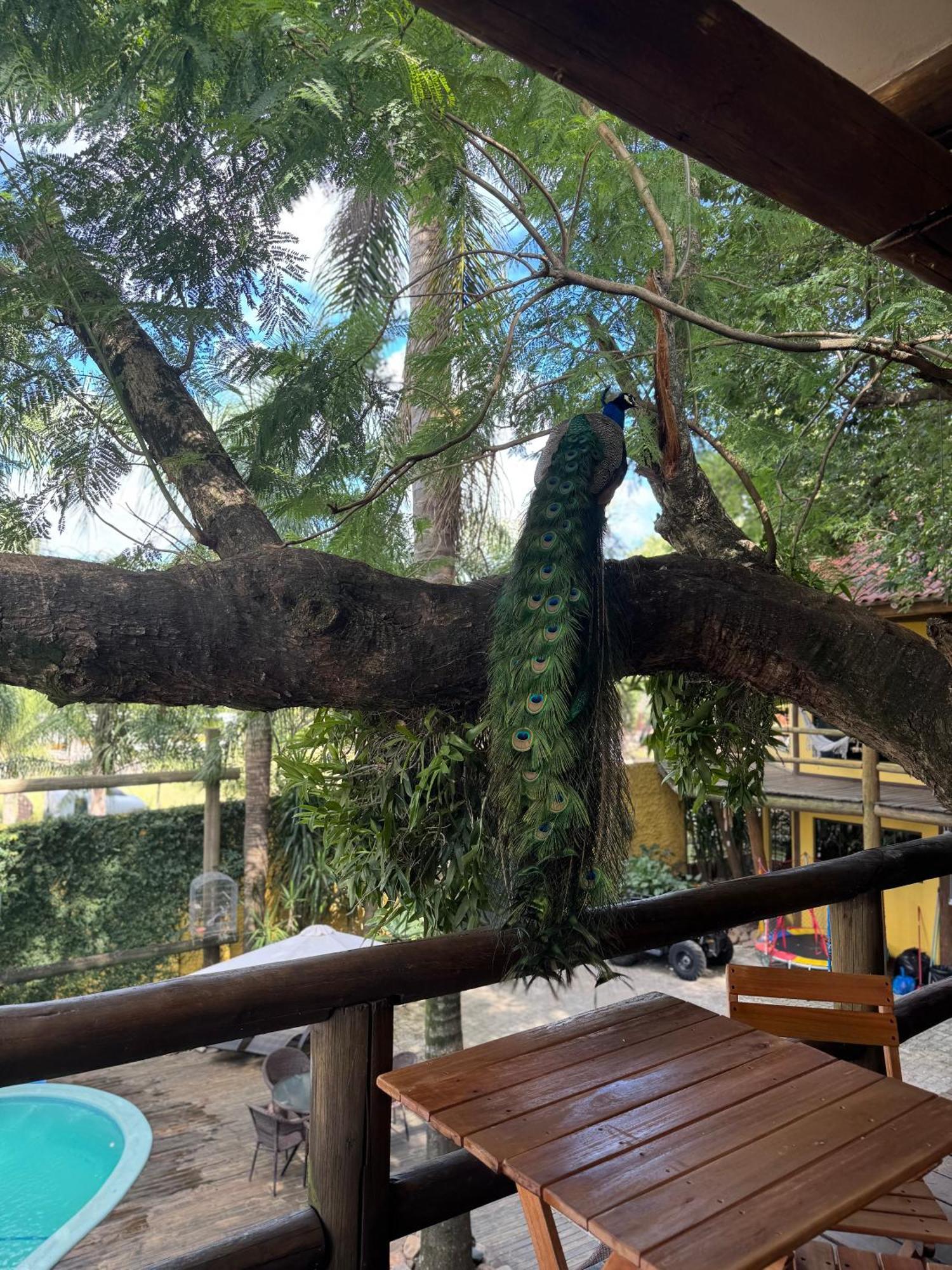 Pousada Familiar Casa Amarela Sao Gabriel  Luaran gambar
